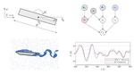 Data-driven aeroelastic analyses of structures in turbulent wind conditions using enhanced Gaussian processes with aerodynamic priors